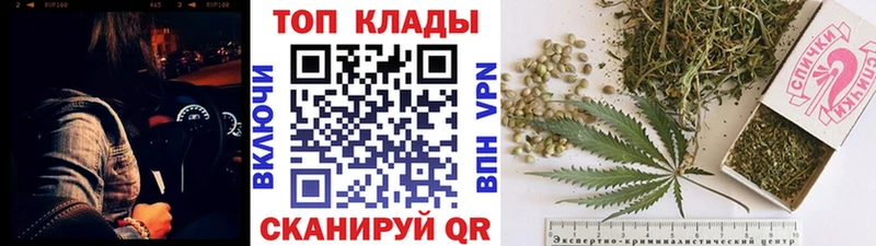 LSD-25 Старица