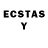 Ecstasy TESLA Gary Walsh
