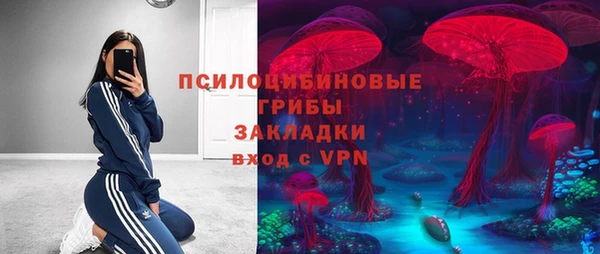 гидропоника Верея