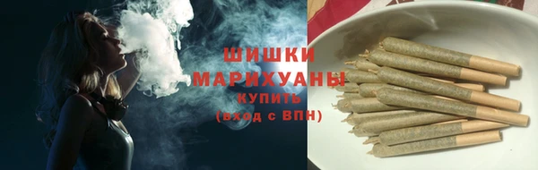тгк Богородск