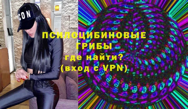гидра Верхний Тагил