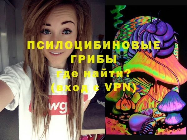 гидропоника Верея