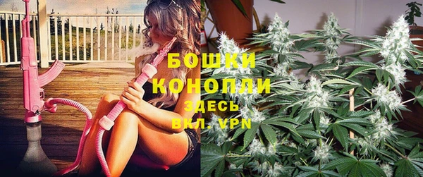 гидропоника Верея